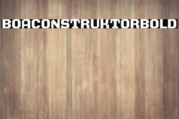 BOA CONSTRUKTOR Bold Example 3