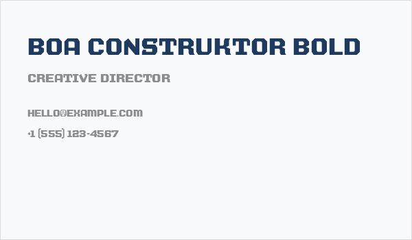 BOA CONSTRUKTOR Bold Business Card