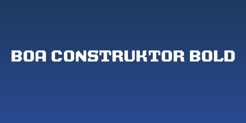 BOA CONSTRUKTOR Bold Social Header
