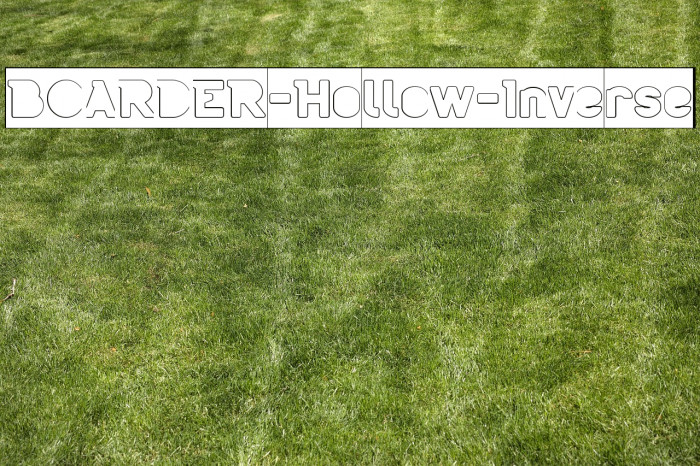 BOARDER-Hollow-Inverse Example 3