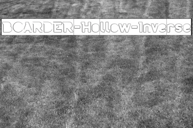 BOARDER-Hollow-Inverse Example 3