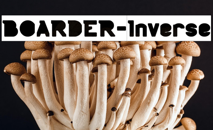 BOARDER-Inverse Example 2