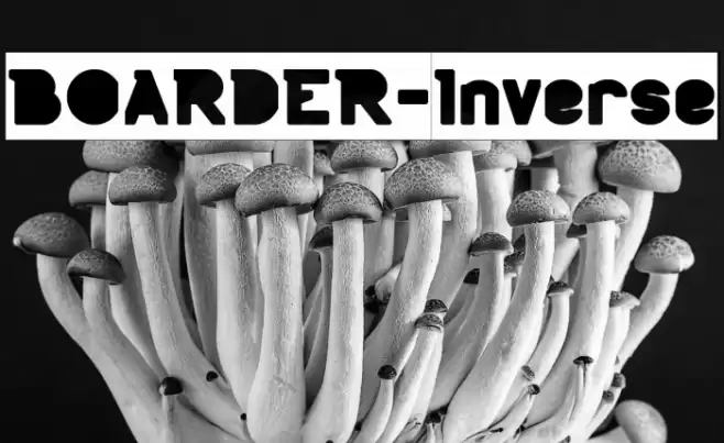BOARDER-Inverse Font examples