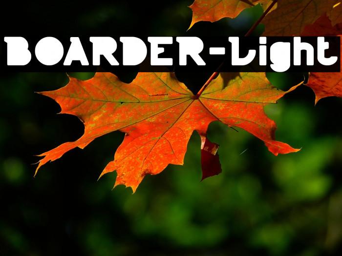 BOARDER-Light Example 1