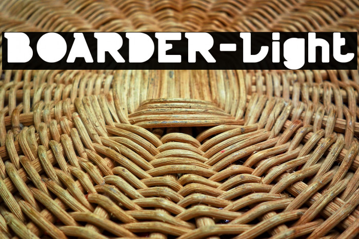 BOARDER-Light Example 2