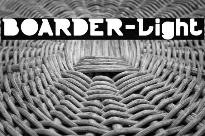 BOARDER-Light Example 2