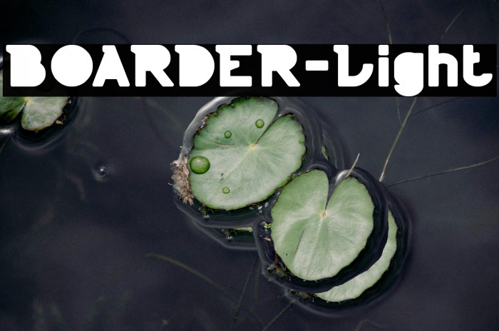 BOARDER-Light Example 3