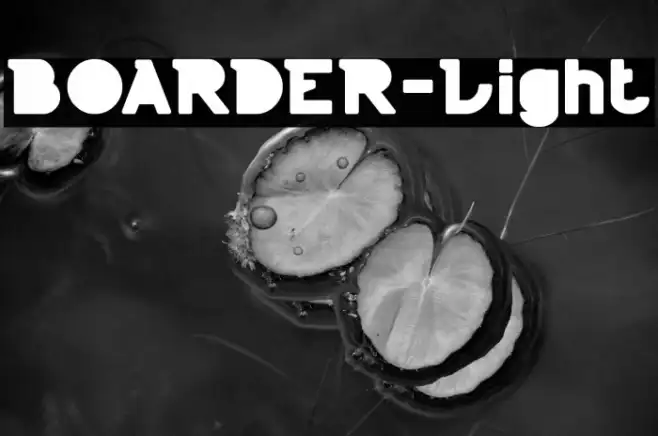 BOARDER-Light Example 3