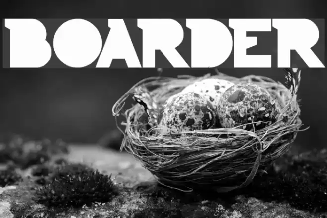 BOARDER Font examples