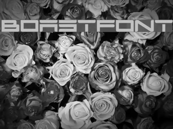BOASTfont Font examples