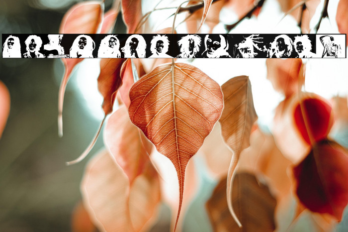 BOB MARLEY Example 2