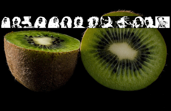 BOB MARLEY Example 3