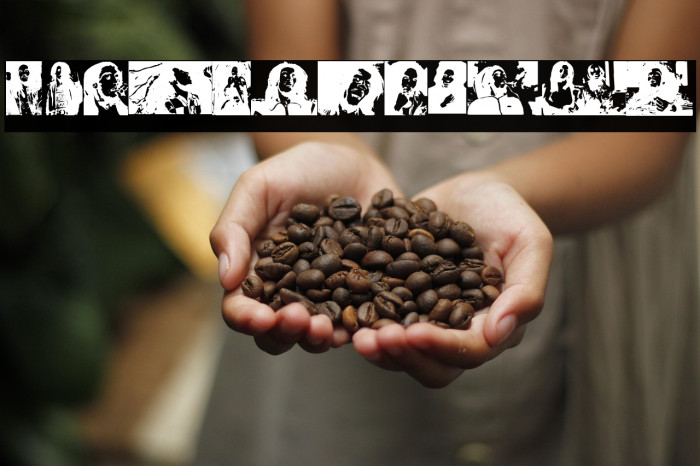 BOB NEVER DIES! Example 2