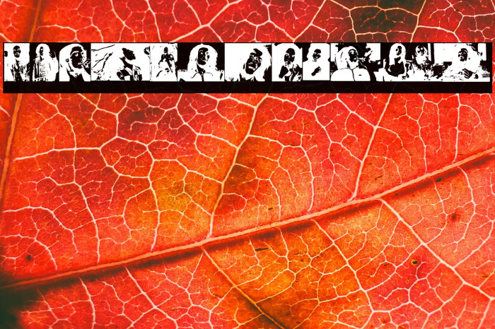 BOB NEVER DIES! Example 3