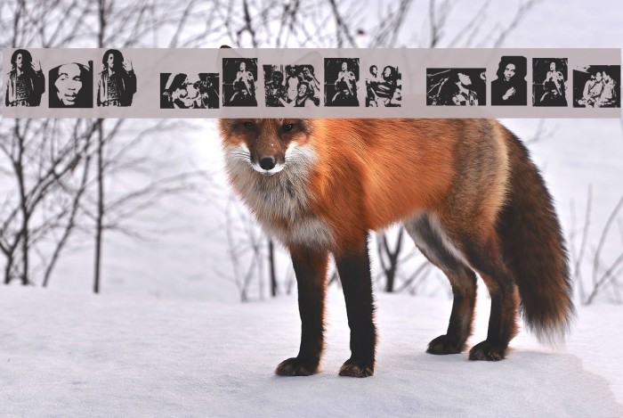 BOB NEVER DIES Example 1