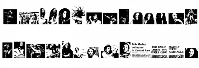 BOB NEVER DIES Polices MINUSCULES