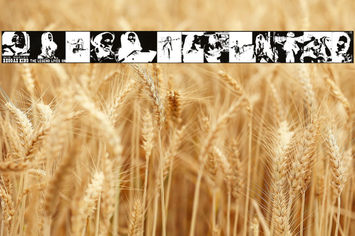 BOB The Lion Singer Example 1