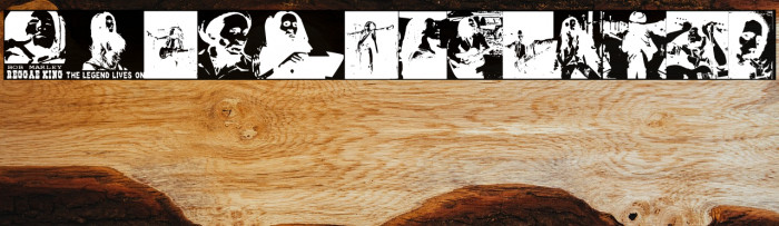 BOB The Lion Singer Example 3