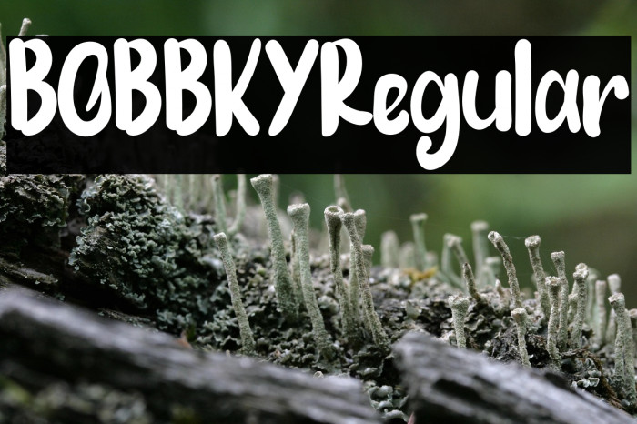 BOBBKYRegular Example 2