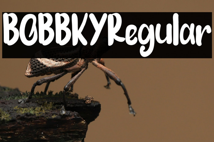 BOBBKYRegular Example 3