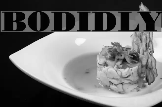 BODIDLYbold خط examples