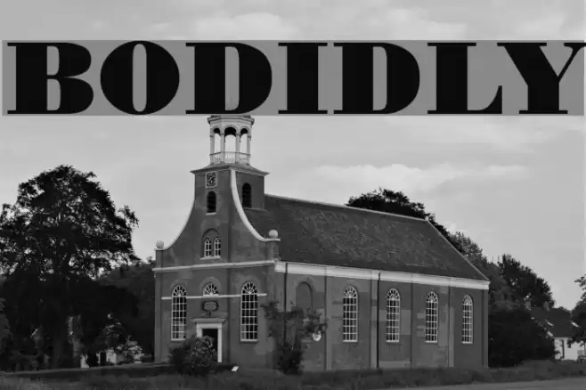 BODIDLYbold خط examples