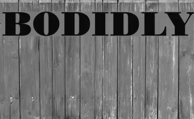 BODIDLYbold خط examples