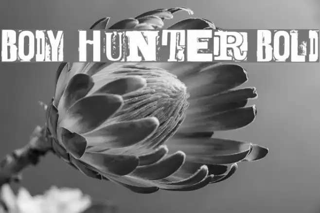 BODY HUNTER Bold Font examples