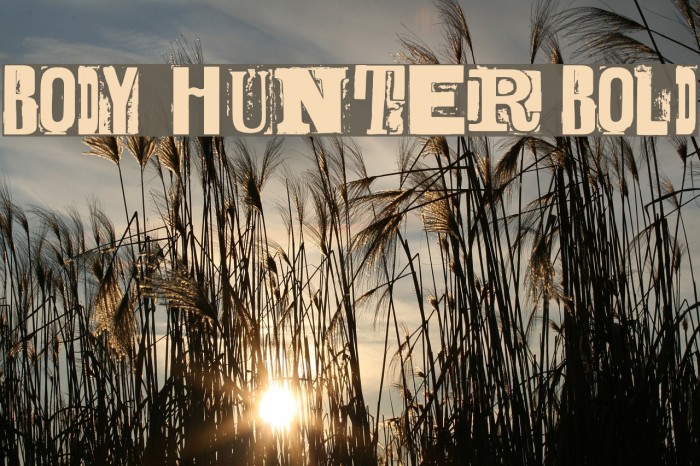BODY HUNTER Bold Font examples