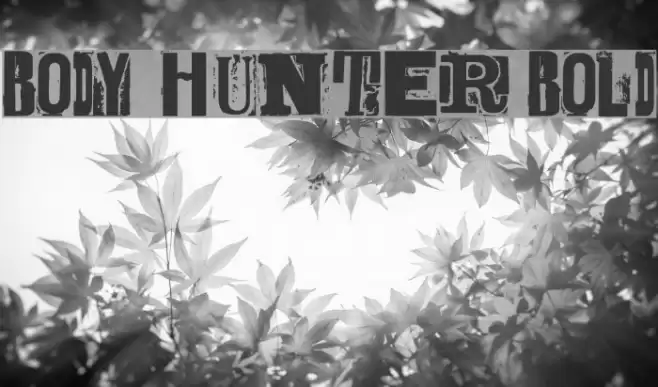 BODY HUNTER Bold Font examples