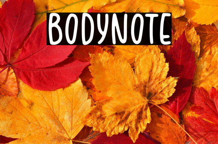 BODYNOTE Example 2