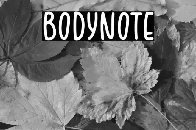BODYNOTE Font examples