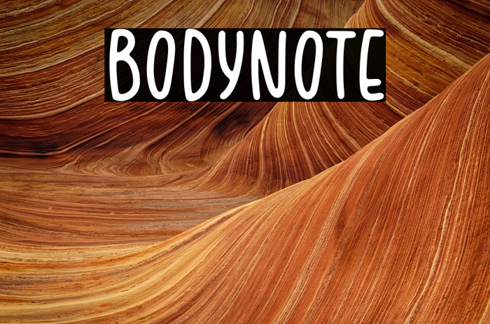 BODYNOTE Example 3