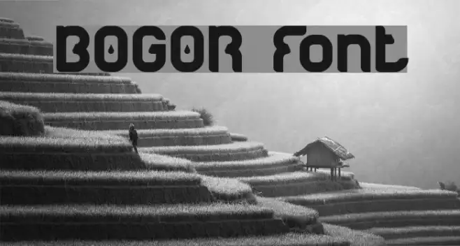 BOGOR Example 1