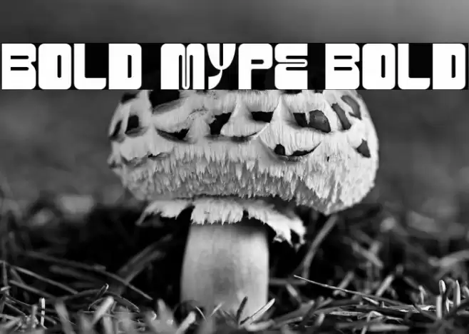 BOLD MYPE BOLD フォント examples
