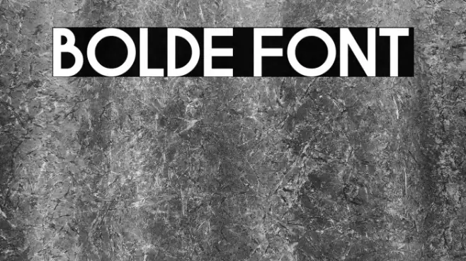 BOLDE Example 2
