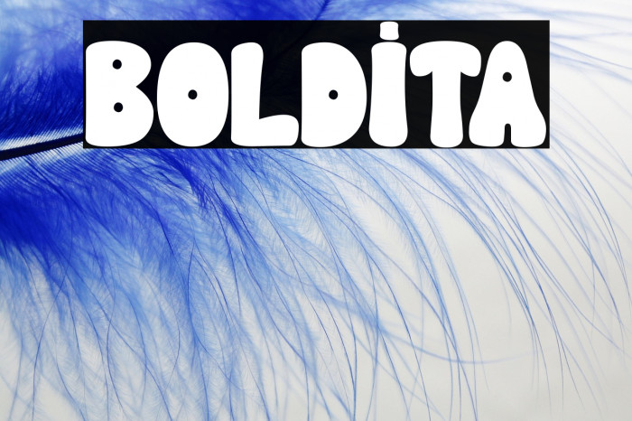 BOLDITA Example 1