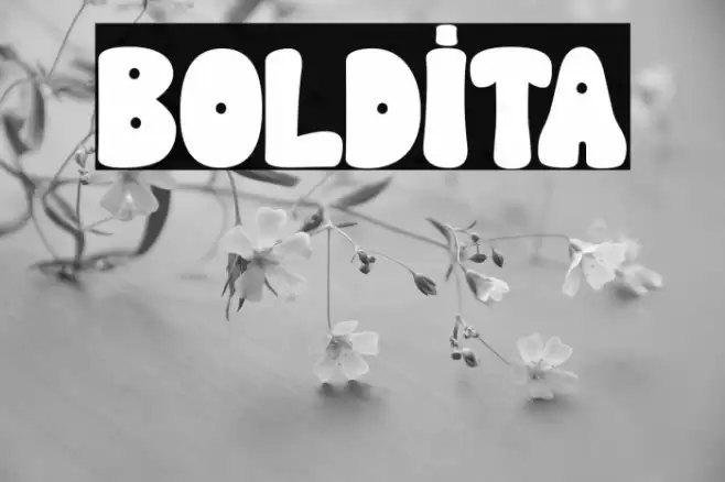 BOLDITA Font examples