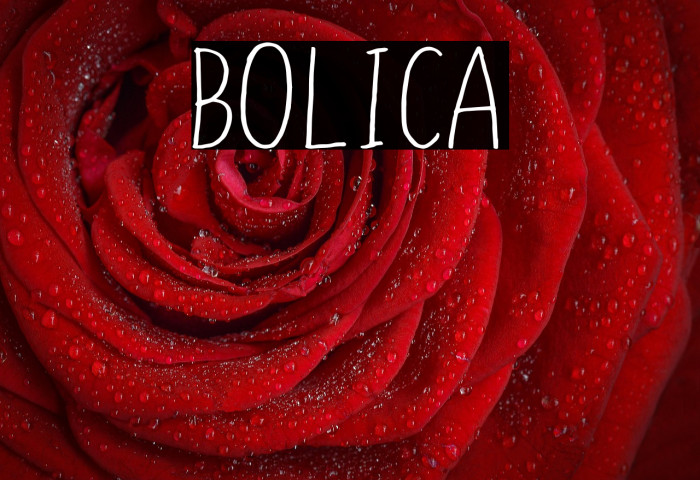 BOLICA Example 1