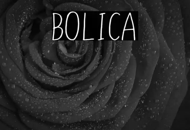 BOLICA Font examples