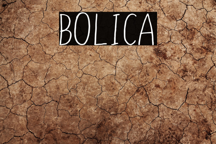 BOLICA Example 2