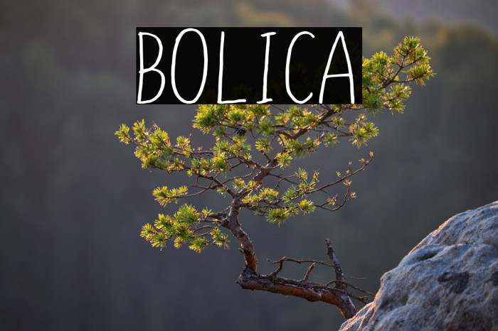 BOLICA Example 3