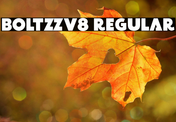 BOLTZZv8 Regular Example 1