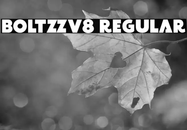 BOLTZZv8 Regular Example 1