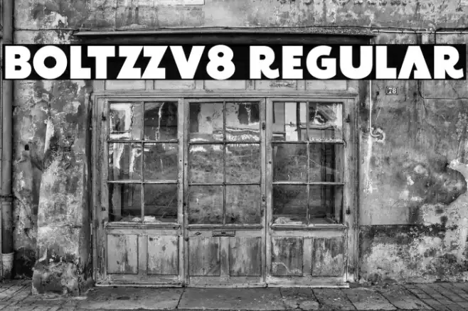 BOLTZZv8 Regular Example 3