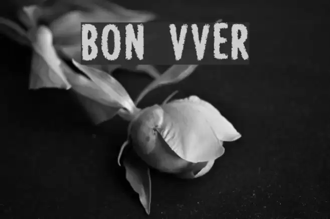 BON ViVER Fonte examples