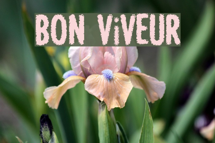 BON ViVEUR Example 3