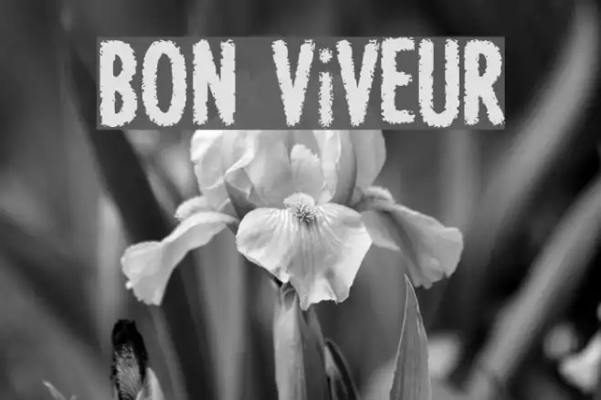 BON ViVEUR Example 3