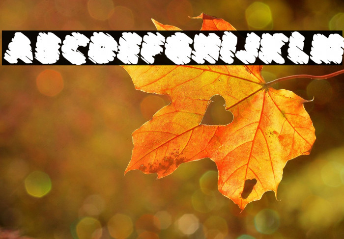 BONBONSPERSONALUSEDAFONT-BlIt Example 1