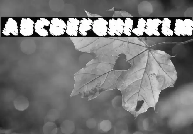 BONBONSPERSONALUSEDAFONT-BlIt Fuentes examples